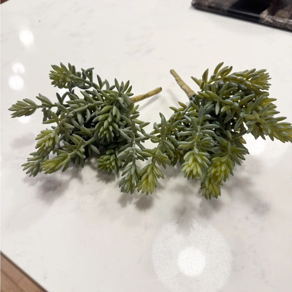 Crate Barrel Faux Greenery Sprigs (2) NWT